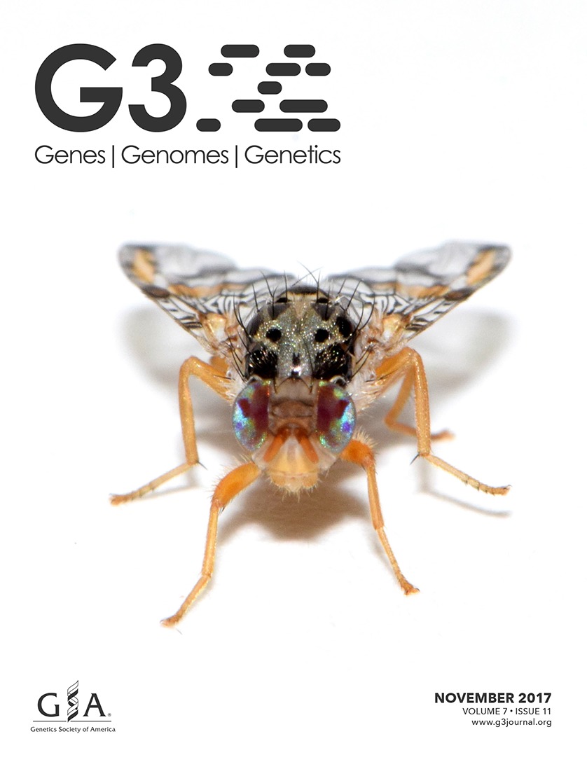 G3_cover